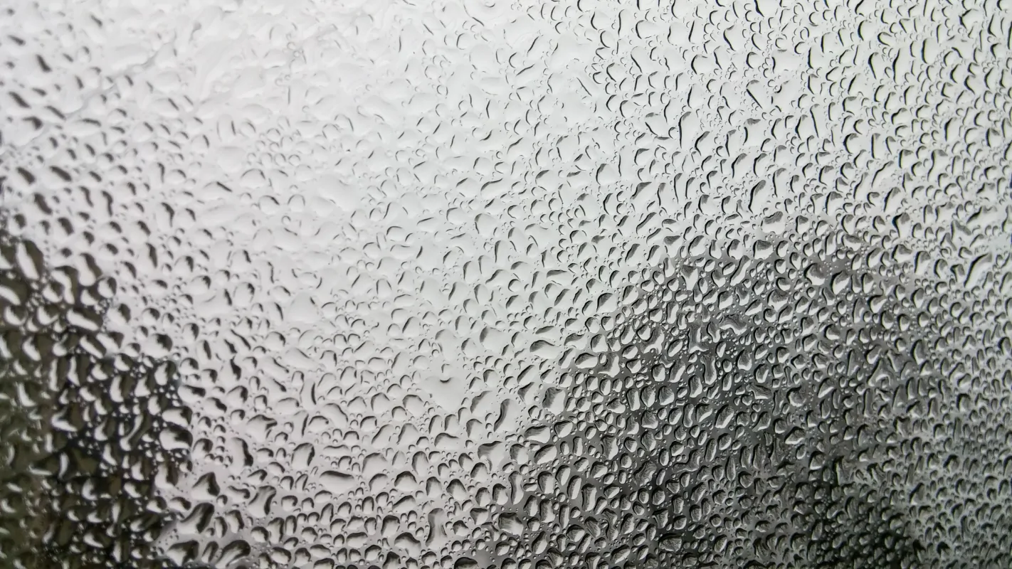 Rain 1