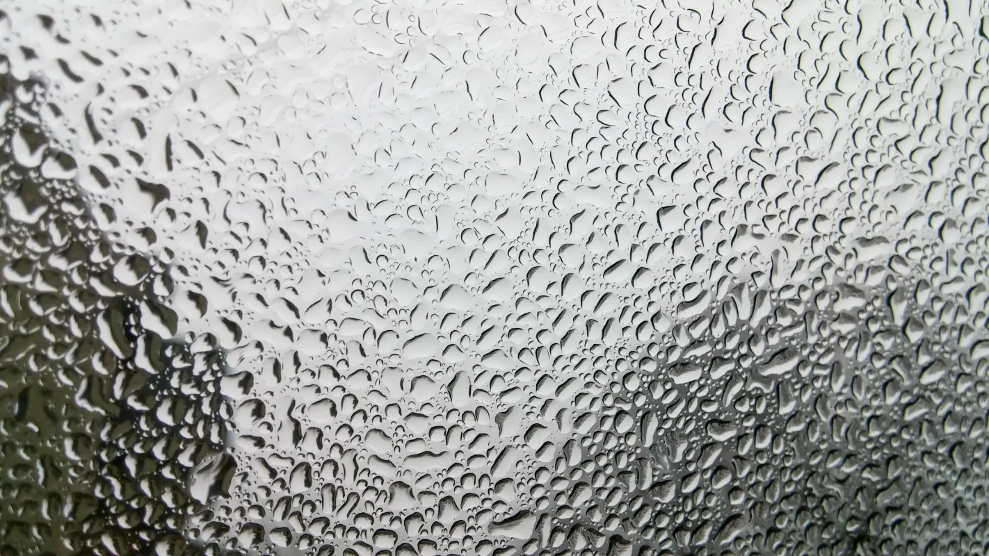 Rain 2