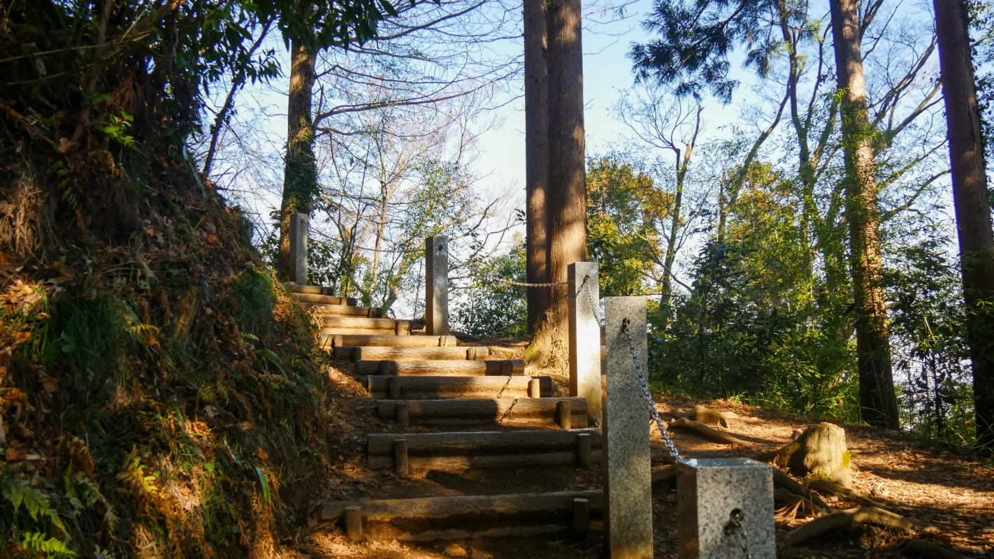 Ascent 1