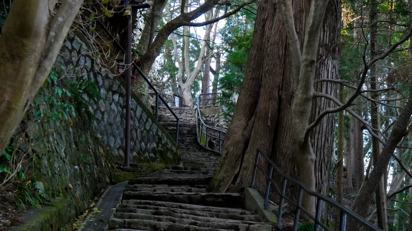 Ascent 2