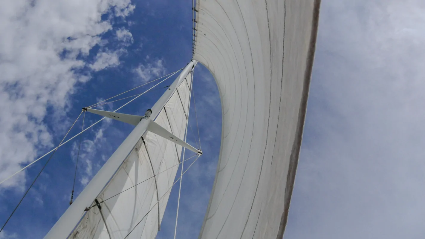 Sail